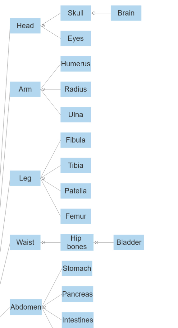 Health Body Diagram 1