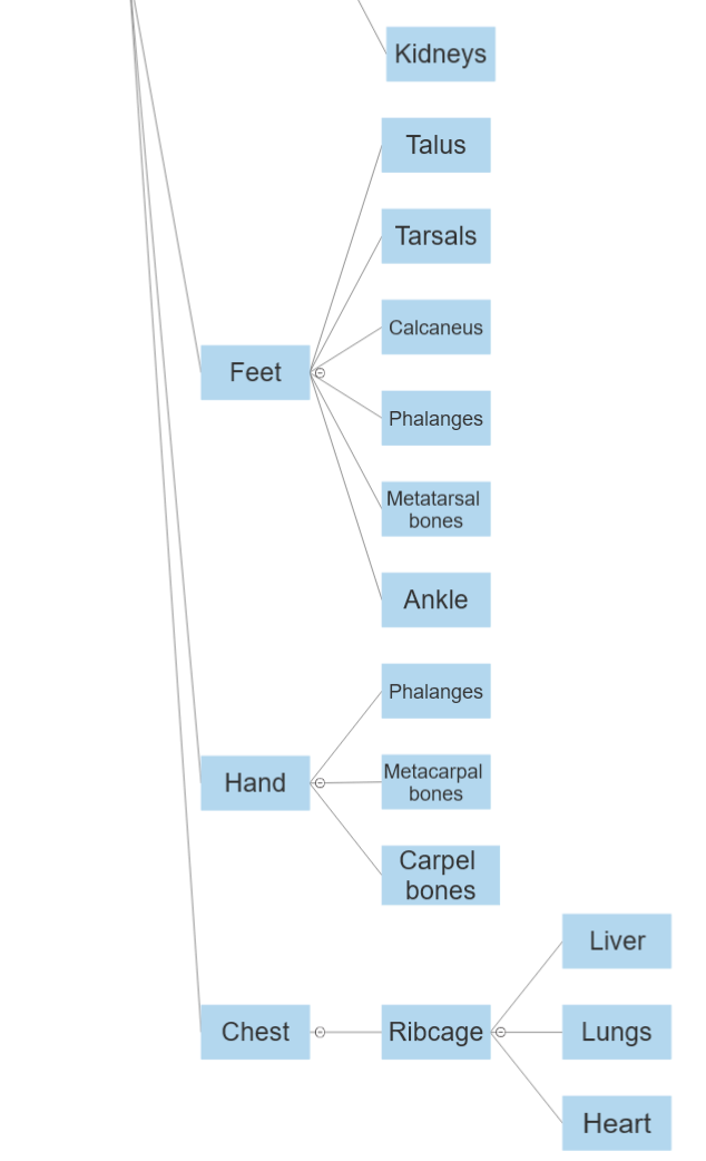 Health Body Diagram 2